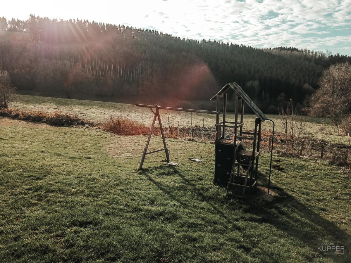 Le Vieux Sanglier - 41 Pers - Malmedy Villa Eksteriør bilde